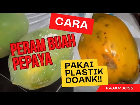 Cara Membuat Pepaya Agar Cepat Matang