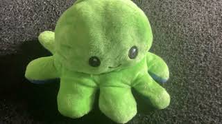 Mr octopus