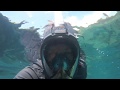 BEST Snorkeling In Maui