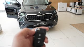 Skoda Kushaq | 2024 | Details video