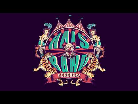 Ballade Van Een Muzikant