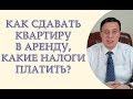 Как сдавать квартиру в аренду, какие налоги платить