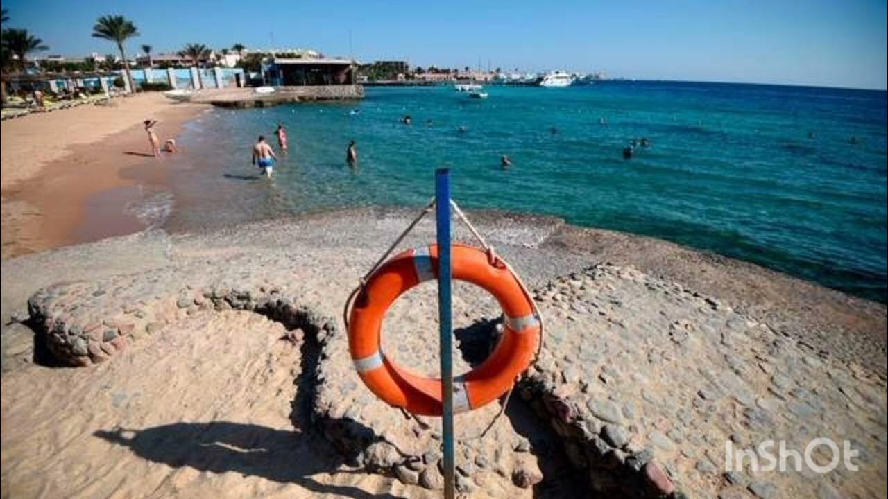 Egypt shark attack video Hurghada as Red Sea coastline Who woman