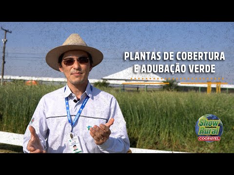 Vídeo: Culturas de cobertura vs. Adubo verde - Cultivo de culturas de cobertura e adubos verdes