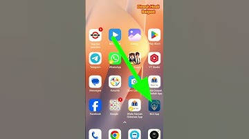 BLO App New Update | Mark Elector (for Self) As Progeny | SIR 2025 Update | Couples Without Parents