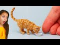 СМЕШНЫЕ КОТЯТА В ШКОЛЕ в ТИКТОК! Коты и Собаки НЕ ЗАСМЕЙСЯ ЧЕЛЛЕНДЖ Funny Cats Валеришка