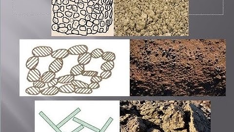 Geotechnical Engineering I-KTU Syllabus-Module 1- Chapter 1.6- Soil Structure