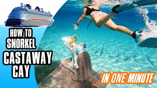 How to snorkel on Castaway Cay | Disney Cruise Lines’ private island in the Bahamas | 1 minute video