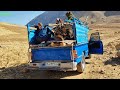 Nomadic life: Migrating to tropical areas due to the cold weather