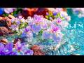 Healing music that clears your head 🎵 Find Tranquility, Embrace Stillness, Restore Harmony 🍀