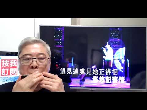 難尋舊時夢-陳浩德(口琴獨奏伴卡拉OK) Michael Gor