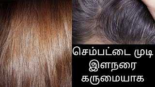 செம்பட்டை முடி கருப்பாக| இளநரை கருமையாக மாற| how to change brown hair to black hair in tamil