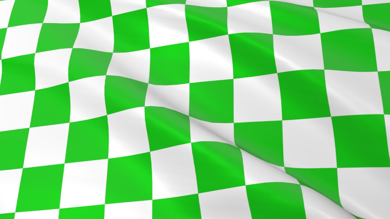 nascar-flag-waver