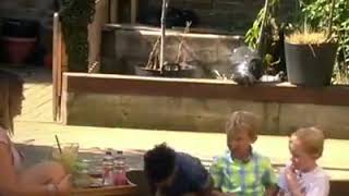 Empathy:   Boys and girls reaction to a lemonade
