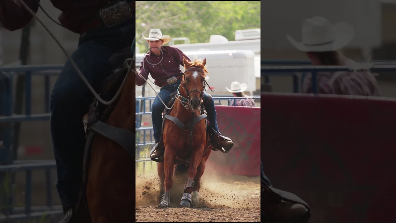 Tie Down Roping