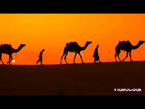 قلبي انكوي من نارها شبهة خيال امباركة في ايامها الشاعر البشير عبد العظيم