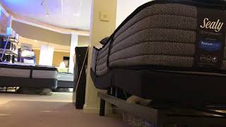 Sealy EASE Adjustable Base Wealth