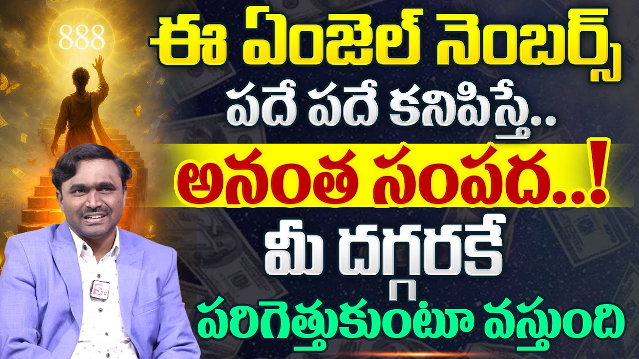 Viswam Vijay about Angel Numbers | The Secret Behind Angel Number Law of attraction |SumanTV Haritha