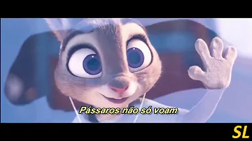 Shakira - Try Everything (From "Zootopia") (Tradução) (Legendado) (Video)