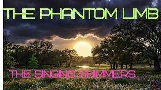The Phantom Limb