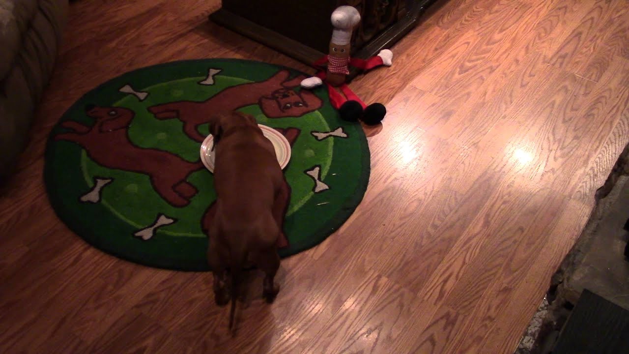 Noob 2015 Cheese Tournament Second Round 2 Provolone vs 7 Havarti