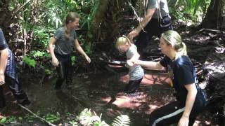 Mud-Walk @ Seminole County Environmental Center Study #9 (April 2015)