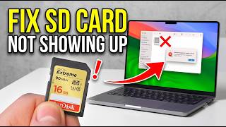 SD Card Not Showing Up Here's How to Recover Deleted Files on Mac