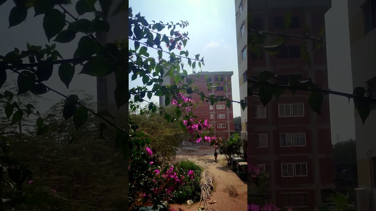 Flower | travel with robi