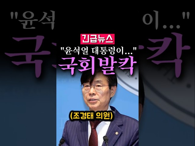 (속보) 조경태 폭탄발언, "내란 옹호 세력이..."