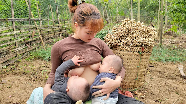 Me and my children harvest onions to sell - Cook dishes from onions with our children to eat - DayDayNews