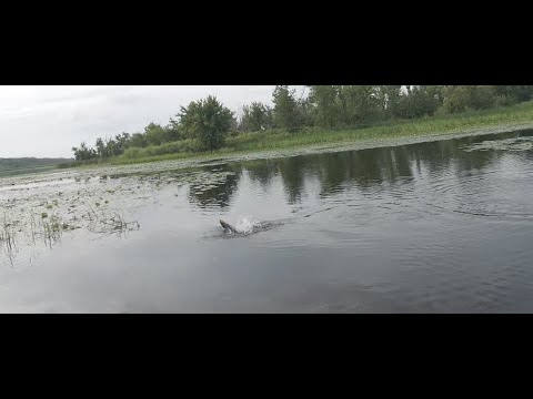 So CLOSE.. Bass fishing & Having Fun