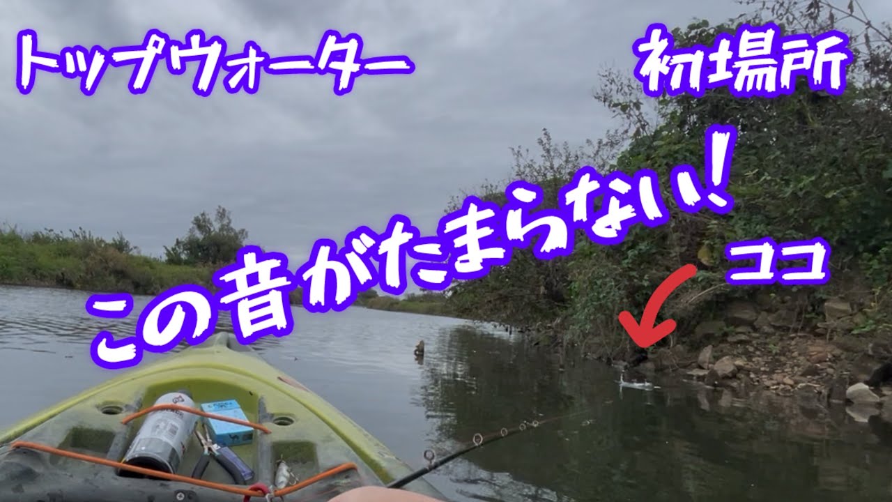 #トップウォーター #カヤックフィッシング #bassfishing #デカバス #fishing #セビレ #本場の韓国料理食べたい