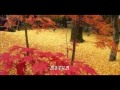 【和風BGM 】 ♪きずな♪　～四ツ目神・使用BGM～　Japanese Style BGM (Otowabi)　著作権フリー