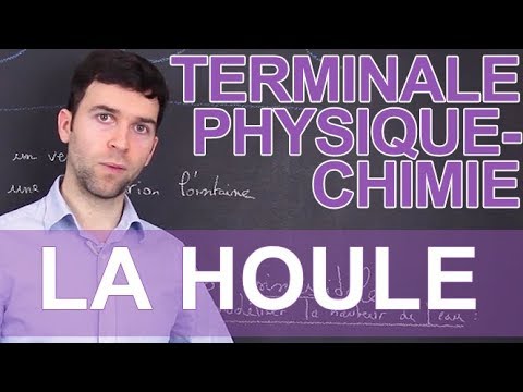 Vidéo: Différence Entre Impulsion Et Vague