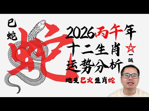 生肖属 蛇 地支 巳火 2026年丙午马年 运势分析与预测 