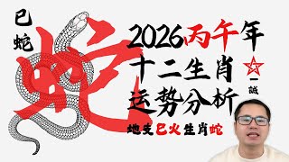 生肖属【蛇】地支【巳火】 2026年丙午马年 | 运势分析与预测