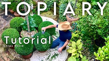 Tutorial: Boxwood Topiary Balls #boxwood  #topiaryballs #buxus