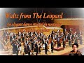 Rota Waltz from The Leopard 🎩✨ An elegant dance steeped in nostalgia and Sicilian grandeur