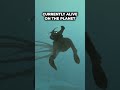 Why The Lost River Is Full Of Giant Skeletons In Subnautica? #shorts #subnautica