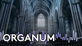 Discover Organum Music