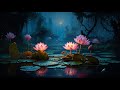 Healing Brain Wave 528hz Frequency Ambient Meditation Calming Zen Spiritual Music #背景音樂, 舒服、放鬆、安撫、清晨