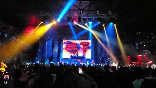 Mandragora Live Chihuahua 2024 - Vapo vapo & Codeine