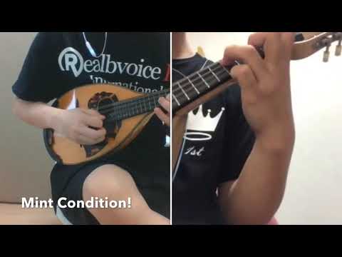 【マンドリン二重奏】Mint Condition! / 堀雅貴   マンドリンで演奏してみた(マンクラソロコンテスト素晴らしい技術で賞受賞作品)  #27
