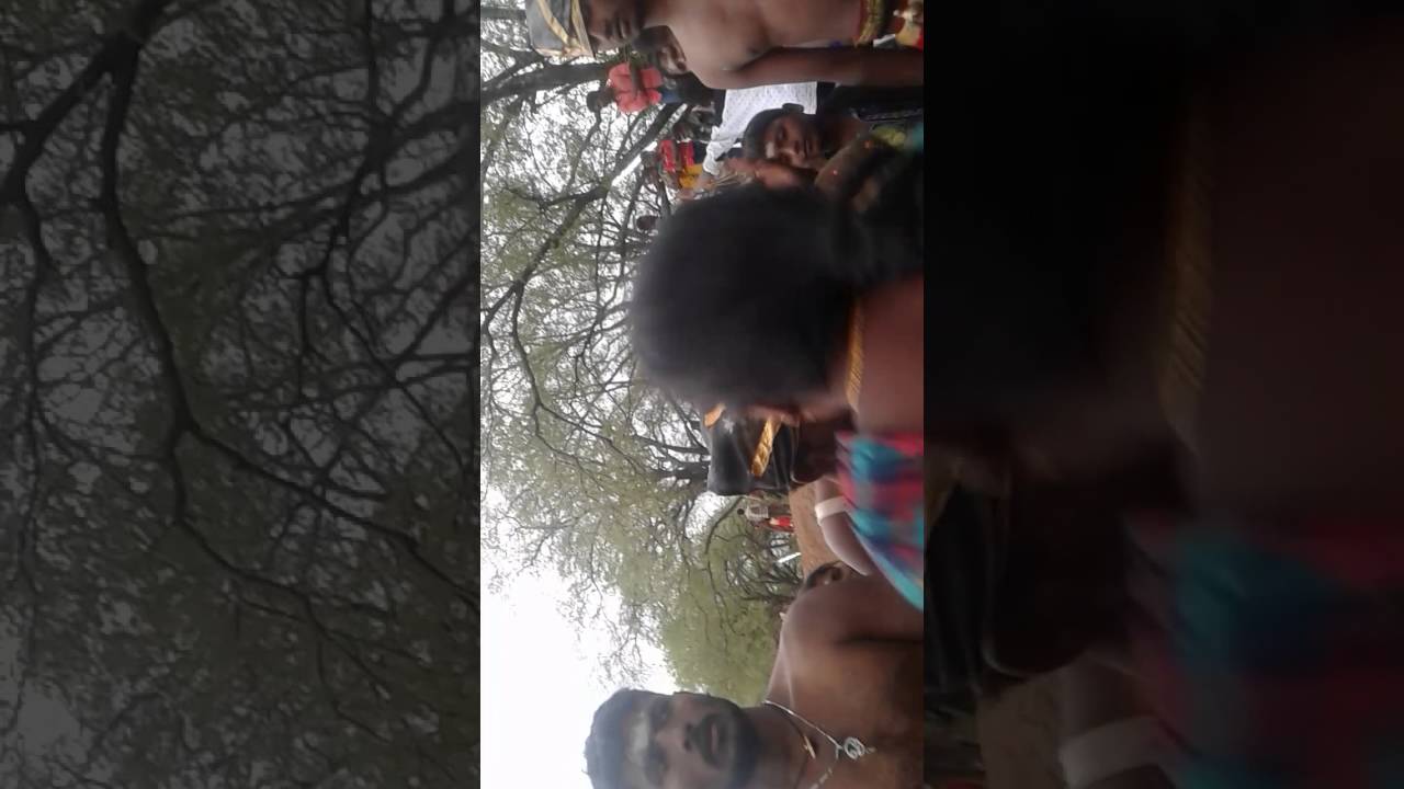 Parapathi pongal video