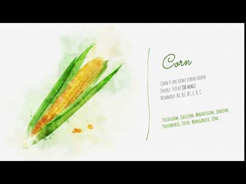 Video: Useful Properties Of Corn