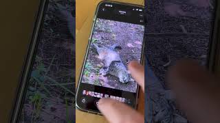 AirDrop mit Android? Klar geht das!