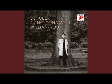 William Youn & Franz Schubert - Piano Sonata No. 18 in G Major, D. 894, Op. 78: IV. Allegretto