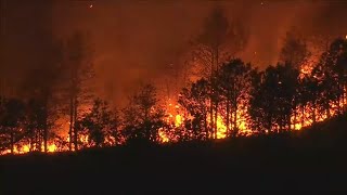 Man charged with arson in southern New Jersey wildfire