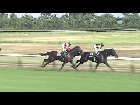 関屋記念（G3）2016　ヤングマンパワー