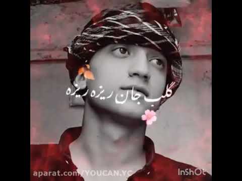 مجتبی تخاری 